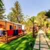 Sentiero tra giardini curati con palme e bungalow in legno.