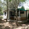 Bungalow tra gli alberi.