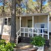 Offerte 2023 Camping Village Riva Dei Greci - Metaponto - Basilicata