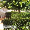 Giardino con siepi curate, albero e tavolo con sedie all'aperto.