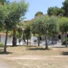 Edifici bianchi circondati da alberi con cortile erboso.